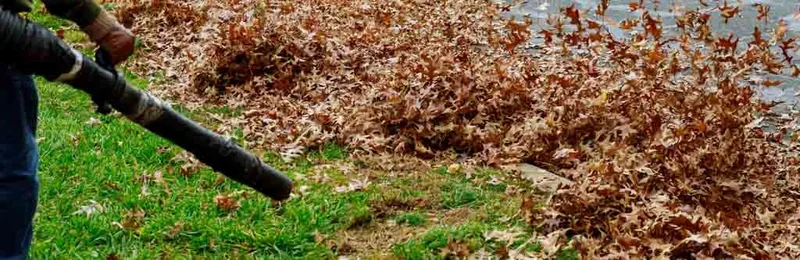 Leaves being cleared from a lawn in autumn