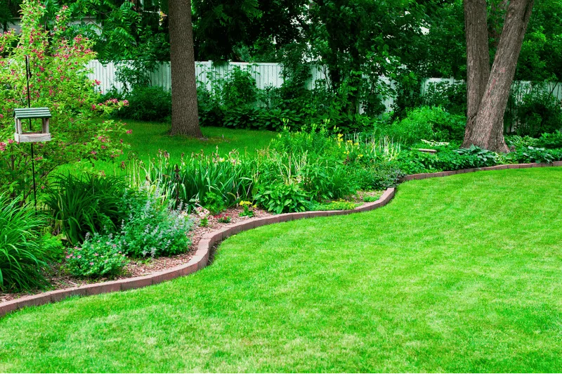 Freshly mowed lawn looking very green