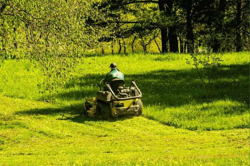 Seasonal Lawn Care: Prepared for Every Season