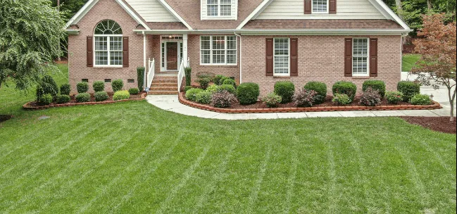 Lawn Maintenance &amp; Cleanup Services