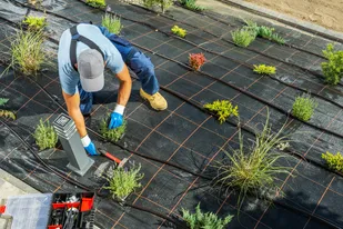 Irrigation Repair &amp; Maintenance: Fast Fixes You Can Count On